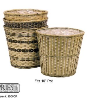 10080P (10" FERN BASKET)
