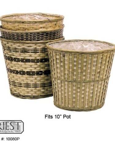 10080P (10" FERN BASKET)
