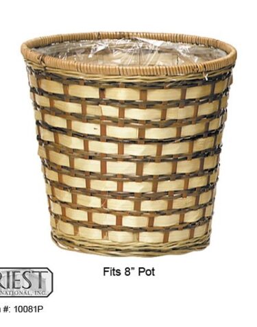10081P (8" FERN BASKET)