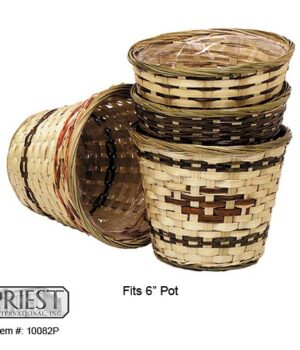 10082P (6" FERN BASKET)