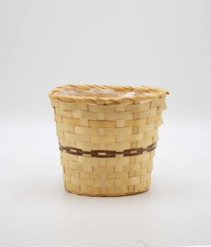 10816P (6" AZALEA FERN BAMBOO POT BSKT)
