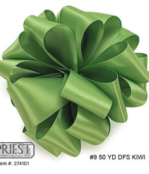 DFS KIWI