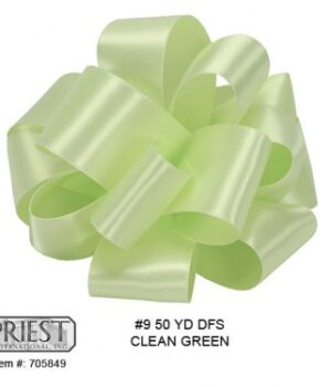 DFS CLEAN GREEN