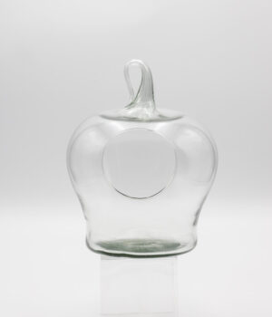 GLS-1119 (12" APPLE TERRARIUM) CASE PK 6