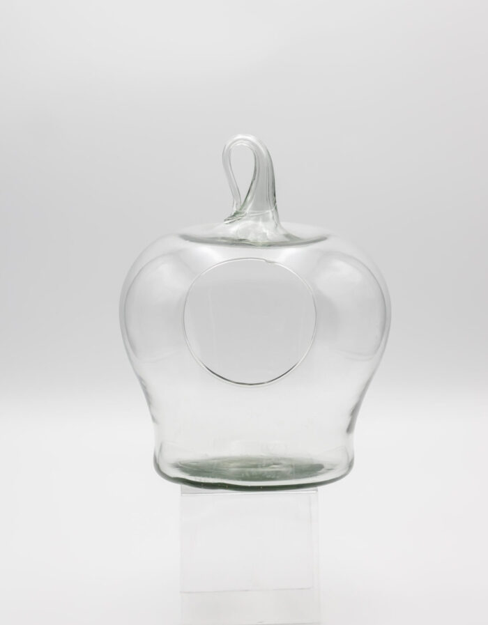 GLS-1119 (12" APPLE TERRARIUM) CASE PK 6