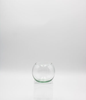 GLS-P-5 (5" BUBBLE BOWL) CASE PK 24