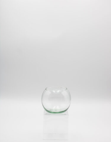 GLS-P-5 (5" BUBBLE BOWL) CASE PK 24