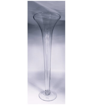 GLS-64018 GLASS TRUMPET VASE CASE PK 2