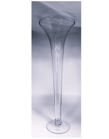 GLS-64018 GLASS TRUMPET VASE CASE PK 2