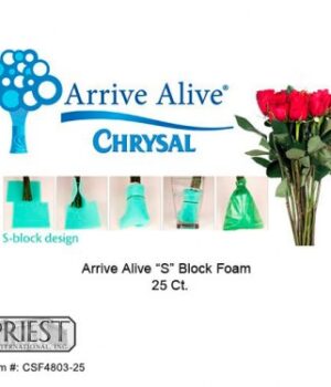 CSF4803-25 ARRIVE ALIVE "S" BLOCK FOAM 25 PIECE