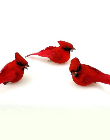 B6619 CARDINAL MUSHROOM/FEATHER W/CLIP 12 PER BOX