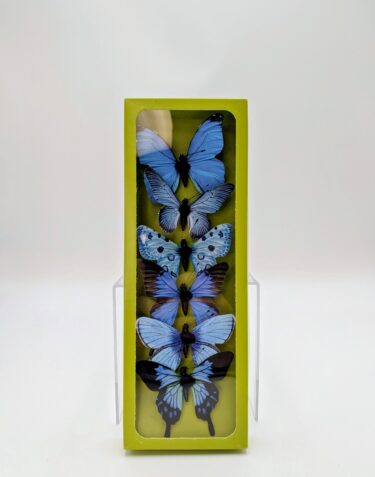 SA0031-M 3" BLUE ASSORTED BUTTERFLIES CASE PK 6