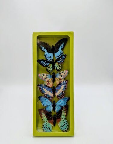 SA0034-L 4.25" BLUE/ORANGEASSORTED BUTTERFLIES CASE PK 6